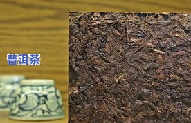 全面解析：普洱松针茶的功效、作用及禁忌