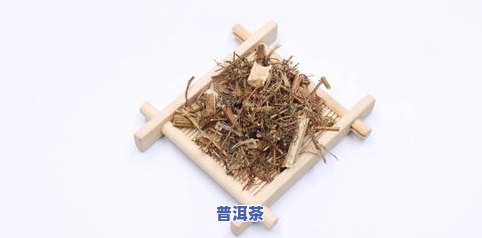 松针茶的功效及危害：揭示其独特作用与潜在风险