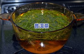 松针茶的功效及危害：揭示其独特作用与潜在风险