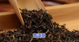 帝泊洱普洱茶粉功效：探究其作用及价格