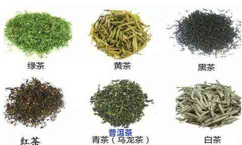 鲜茶叶为什么要杀青？绿茶制作期间关键步骤之一，防止氧化变色，保持绿色，提升口感。理解杀青原理及方法，掌握泡茶技巧，品味优质绿茶。