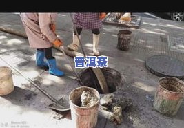 茶叶能住下水道吗？详解原因与视频演示