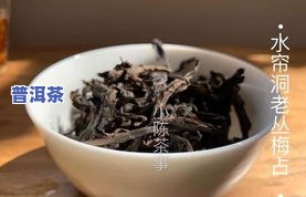 绿茶和普洱茶：哪个更适合送礼？