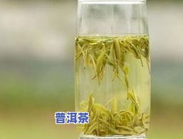 绿茶和普洱茶推荐送礼物的区别：选择的依据与适宜场景