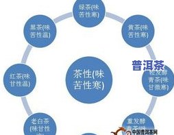 全面了解茶叶内含物质：高清示意图片与详解图