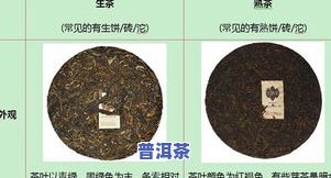 普洱茶颜色深浅比较：熟茶与生茶的区别及汤色等级辨识