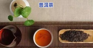 普洱茶饼：生茶与熟茶哪个更适合收藏？