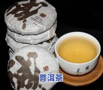 虎记普洱茶：品种、价格与口感全解析