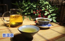 普洱茶亦称什么茶种？探索其独特种类与魅力