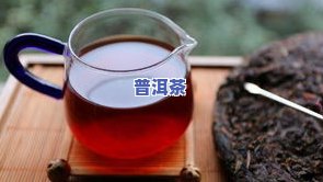 普洱茶亦称什么茶种？探索其独特种类与魅力