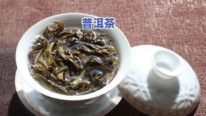 深度解析：冰岛地界普洱茶的口感及其特点