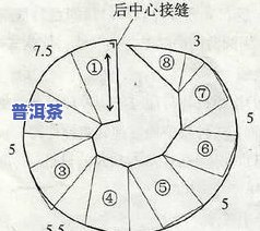 茶叶横切面结构图手绘详细教程及图片展示