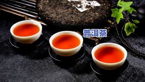 普洱6大山头，探索普洱茶的奥秘：六大山头的特别风味与品质