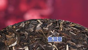 特级普洱茶的功效：揭示其作用、禁忌与全面解析