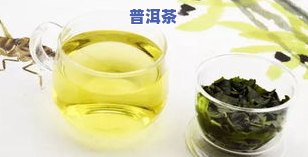 茶叶提神效果排行：哪种茶叶最能提神醒脑？适合学生饮用的无害选择是什么？