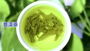 什么茶适合学生喝提神醒脑？绿茶、乌龙茶和薄荷茶都是不错的选择。