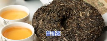 南等普洱茶口感：探索南等古树普洱茶的味道与特点