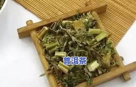 茴香茶的作用与功效：全面解析及其禁忌