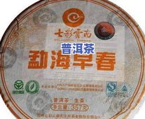 勐海小饼普洱茶-勐海小饼普洱茶价格表