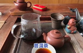 普洱茶都一个泡法吗为什么-普洱茶都一个泡法吗为什么不一样