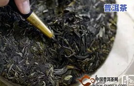 巴达山普洱茶口感特点解析：独特风味备受瞩目