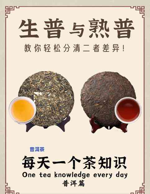 普洱茶的三种发酵方法及其原理是什么？