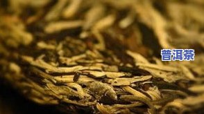 巴达山普洱茶特点古树茶：了解其独特之处与价格