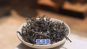 探究去普洱茶山的好处：体验茶园生活与品尝优质茶叶