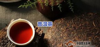 去茶山体验普洱茶的心情-去茶山体验普洱茶的心情说说