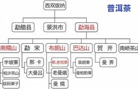 探究冰岛普洱茶的独特地理位置及其特点