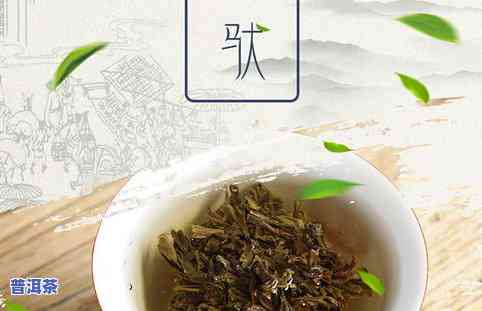 云春堂生普洱茶的价格-云春堂普洱茶怎么样