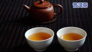 冲泡普洱茶碎末-冲泡普洱茶碎末放多少