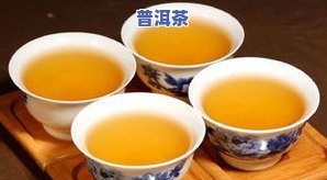 冰岛普洱茶与普通普洱茶有何不同？详解功效、特点及优劣