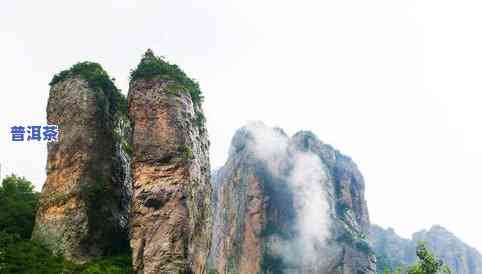 普洱茶十大名山排行-普洱茶十大名山排行榜