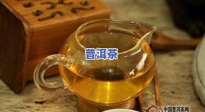 普洱茶特色图片-普洱茶的图片大全