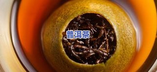 普洱茶防弹-普洱茶防虫