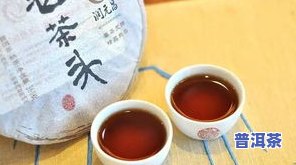 普洱茶防弹-普洱茶防虫