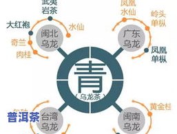 普洱茶切碎工艺详解：起源、流程、视频与图解