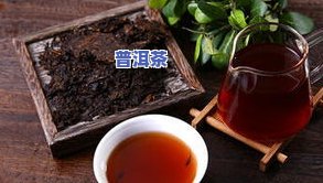 大益普洱茶有几个储存仓-大益普洱茶有几个储存仓库在哪里