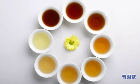 普洱茶aizitou：功效、价格及生熟茶对比