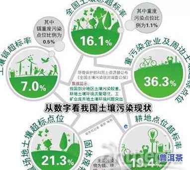 普洱茶生态环境：土壤、优势与保护措施分析