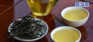 冰岛熟茶与普洱茶的口感对比，哪个更好？