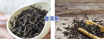 冰岛普洱茶：熟茶与生茶的口感差异及选择建议