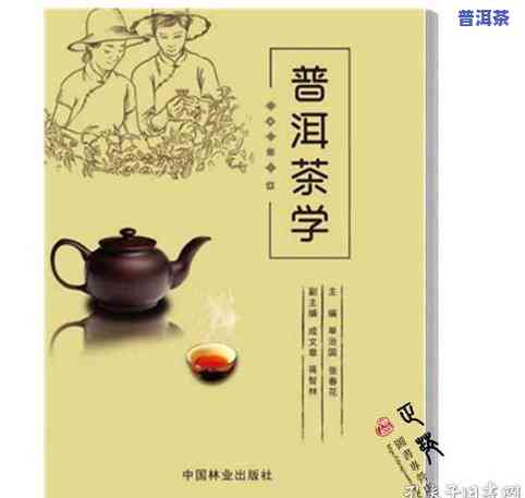 普洱茶艺茶视频教程：教学视频