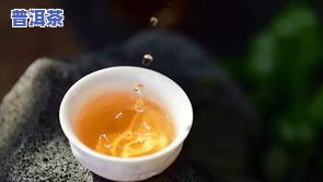 普洱茶叶节：时间、地点与活动全解析