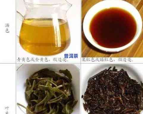 三级普洱茶的好处与作用解析：熟茶品种介绍