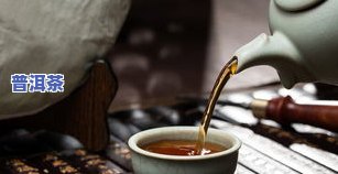 完美普洱茶示范-完美普洱茶示范视频