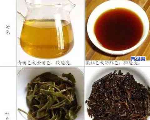 普洱茶中银色的毫毛：是什么茶？