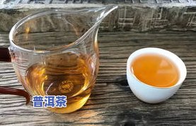 最嫩的茶叶是什么茶-最嫩的茶叶是什么茶叶