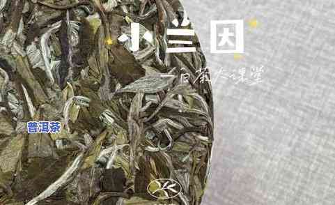 日光普洱茶-日照普洱茶